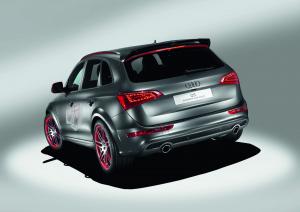 Audi Q5 Custom Concept 2009 года 